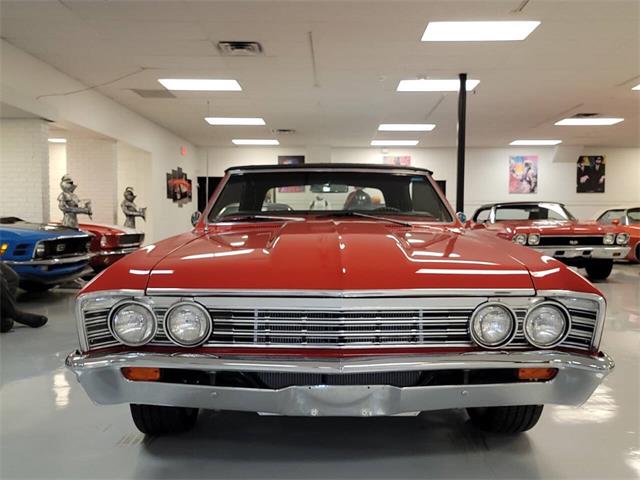 1967 Chevrolet Chevelle (CC-2046558) for sale in Dekalb, Illinois