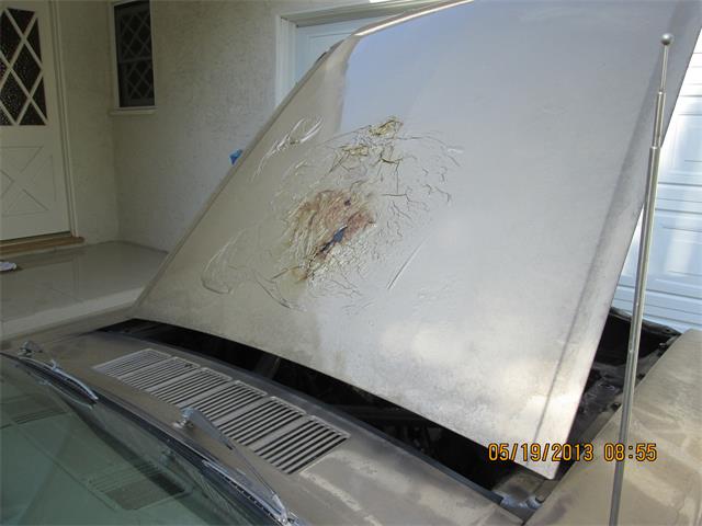 1966 Ford Mustang (CC-2046579) for sale in Glendale, California