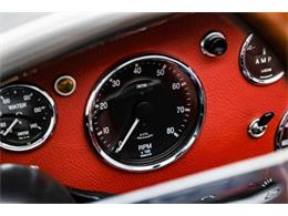 1965 Superformance Cobra (CC-2047638) for sale in Carrollton, Texas