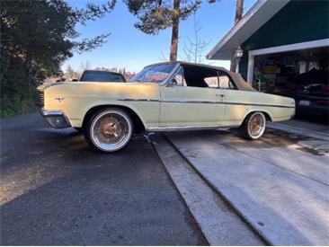 1965 Buick Skylark (CC-2048261) for sale in Cadillac, Michigan