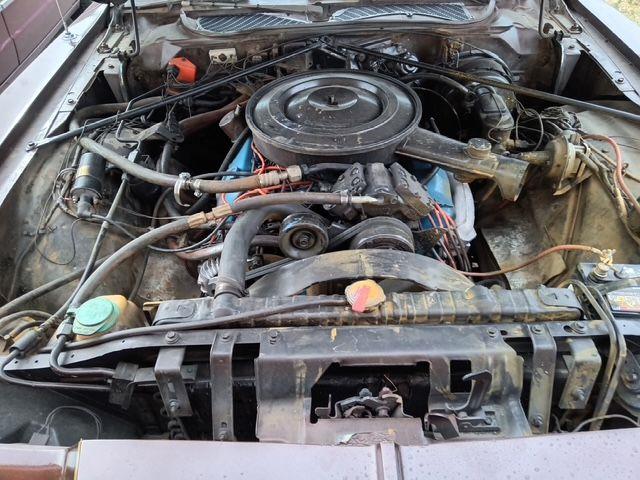 1978 Dodge Magnum (CC-2048283) for sale in Cadillac, Michigan