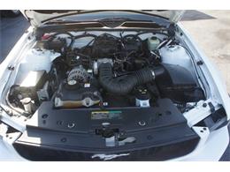 2005 Ford Mustang (CC-2048418) for sale in Lantana, Florida