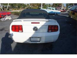 2005 Ford Mustang (CC-2048418) for sale in Lantana, Florida