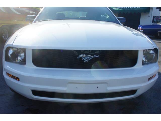 2005 Ford Mustang (CC-2048418) for sale in Lantana, Florida