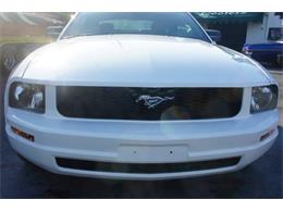 2005 Ford Mustang (CC-2048418) for sale in Lantana, Florida