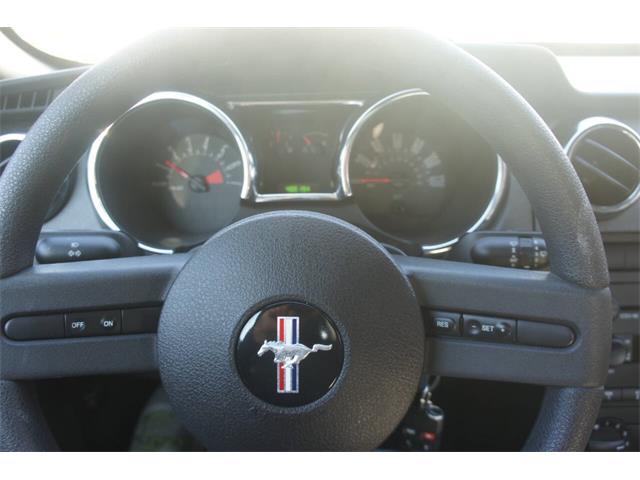 2005 Ford Mustang (CC-2048418) for sale in Lantana, Florida