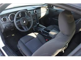 2005 Ford Mustang (CC-2048418) for sale in Lantana, Florida