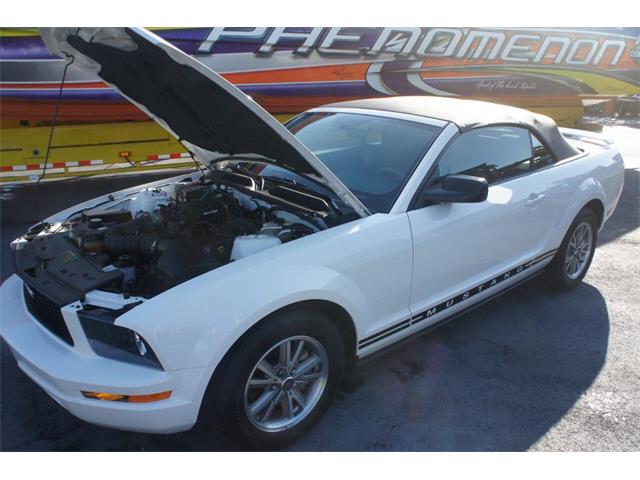 2005 Ford Mustang (CC-2048418) for sale in Lantana, Florida