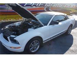 2005 Ford Mustang (CC-2048418) for sale in Lantana, Florida