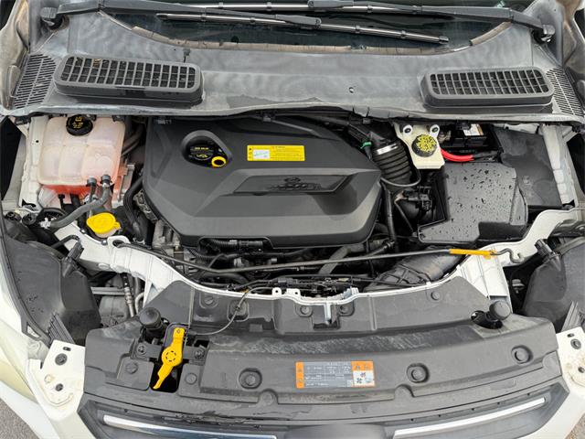 2013 Ford Escape (CC-2048847) for sale in Brookings, South Dakota