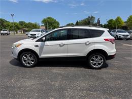 2013 Ford Escape (CC-2048847) for sale in Brookings, South Dakota