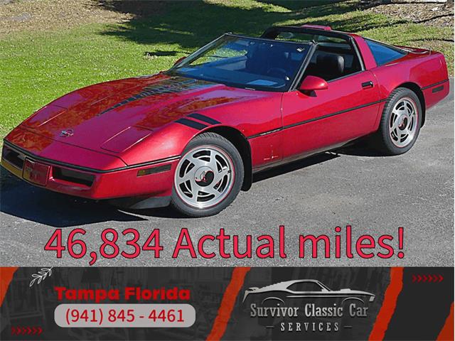 1989 Chevrolet Corvette (CC-2049876) for sale in Palmetto, Florida