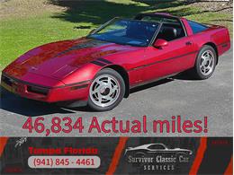 1989 Chevrolet Corvette (CC-2049876) for sale in Palmetto, Florida