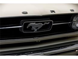 1966 Ford Mustang (CC-2051006) for sale in Orlando, Florida