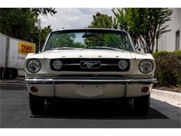 1966 Ford Mustang (CC-2051006) for sale in Orlando, Florida