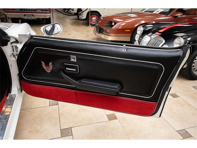 1981 Pontiac Firebird Trans Am (CC-2051820) for sale in Venice, Florida