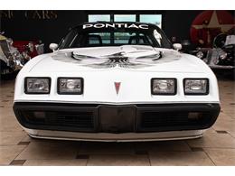 1981 Pontiac Firebird Trans Am (CC-2051820) for sale in Venice, Florida