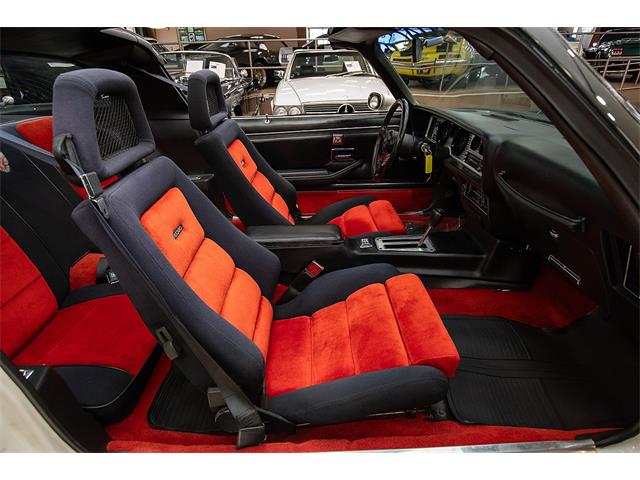 1981 Pontiac Firebird Trans Am (CC-2051820) for sale in Venice, Florida