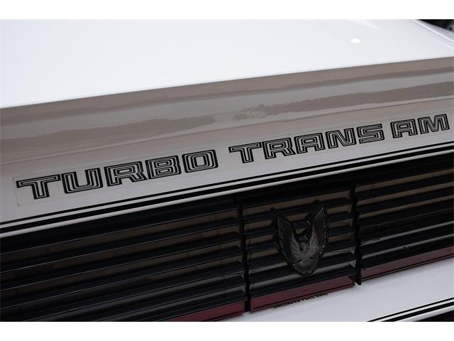 1981 Pontiac Firebird Trans Am (CC-2051820) for sale in Venice, Florida
