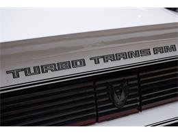 1981 Pontiac Firebird Trans Am (CC-2051820) for sale in Venice, Florida