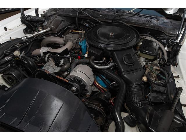 1981 Pontiac Firebird Trans Am (CC-2051820) for sale in Venice, Florida