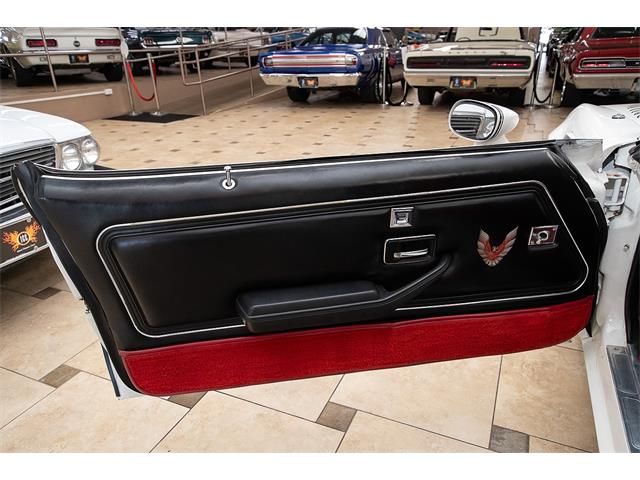 1981 Pontiac Firebird Trans Am (CC-2051820) for sale in Venice, Florida