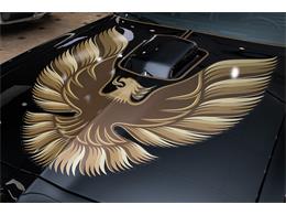 1979 Pontiac Firebird Trans Am (CC-2051821) for sale in Venice, Florida