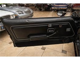 1979 Pontiac Firebird Trans Am (CC-2051821) for sale in Venice, Florida