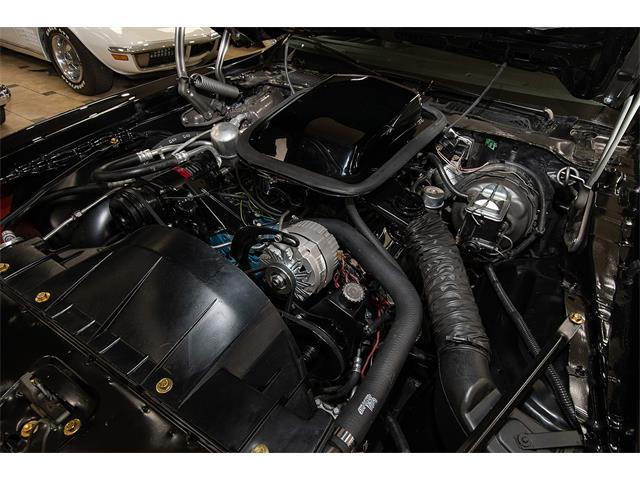 1979 Pontiac Firebird Trans Am (CC-2051821) for sale in Venice, Florida