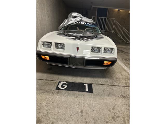 1980 Pontiac Firebird Trans Am Pace Car (CC-2052664) for sale in McLean , Virginia