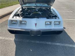 1980 Pontiac Firebird Trans Am Pace Car (CC-2052664) for sale in McLean , Virginia