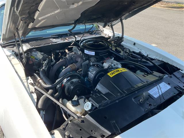 1980 Pontiac Firebird Trans Am Pace Car (CC-2052664) for sale in McLean , Virginia