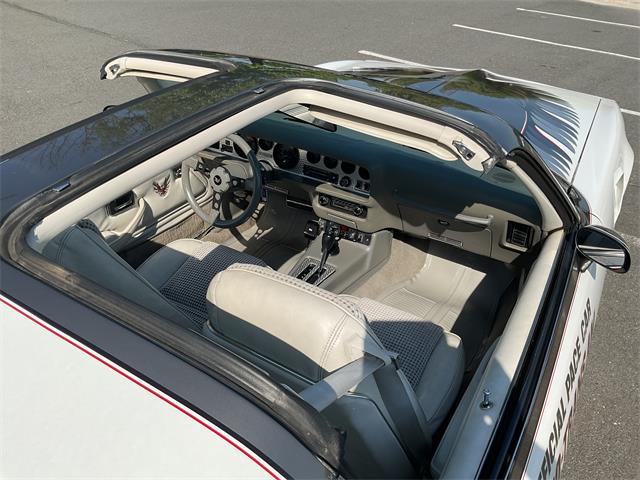 1980 Pontiac Firebird Trans Am Pace Car (CC-2052664) for sale in McLean , Virginia