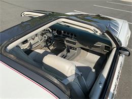 1980 Pontiac Firebird Trans Am Pace Car (CC-2052664) for sale in McLean , Virginia