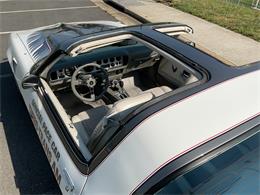 1980 Pontiac Firebird Trans Am Pace Car (CC-2052664) for sale in McLean , Virginia