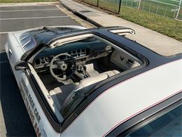 1980 Pontiac Firebird Trans Am Pace Car (CC-2052664) for sale in McLean , Virginia