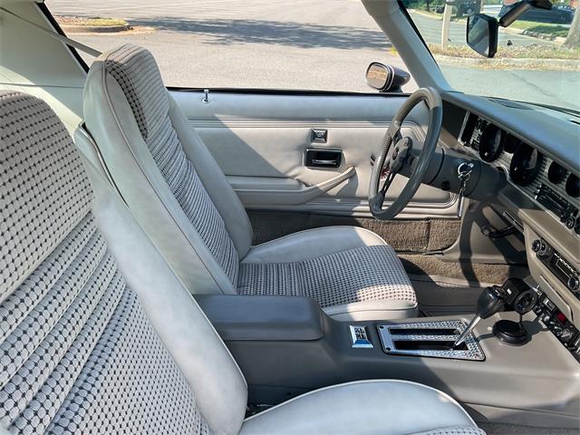 1980 Pontiac Firebird Trans Am Pace Car (CC-2052664) for sale in McLean , Virginia