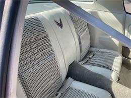1980 Pontiac Firebird Trans Am Pace Car (CC-2052664) for sale in McLean , Virginia