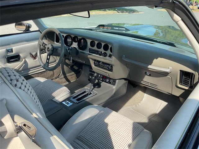 1980 Pontiac Firebird Trans Am Pace Car (CC-2052664) for sale in McLean , Virginia