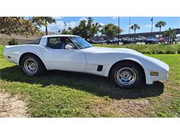 1980 Chevrolet Corvette (CC-2052858) for sale in Punta Gorda, Florida