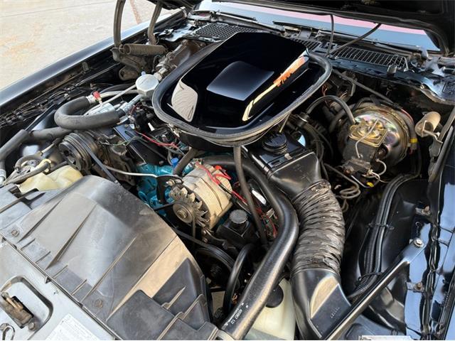 1979 Pontiac Firebird Trans Am (CC-2052891) for sale in Lincoln, Nebraska