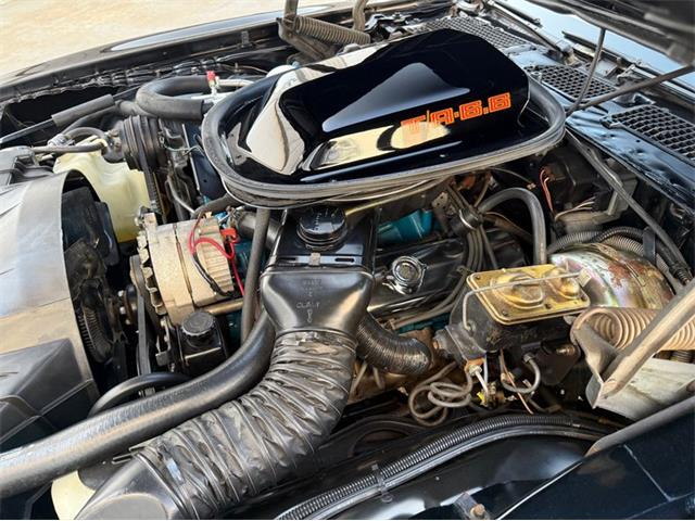 1979 Pontiac Firebird Trans Am (CC-2052891) for sale in Lincoln, Nebraska