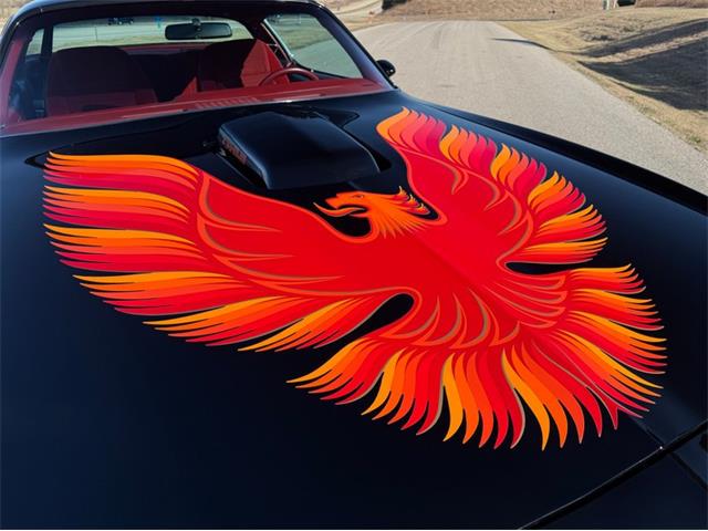 1979 Pontiac Firebird Trans Am (CC-2052891) for sale in Lincoln, Nebraska