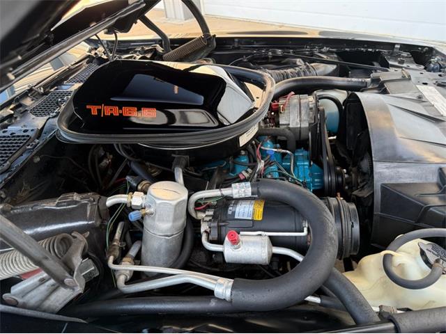 1979 Pontiac Firebird Trans Am (CC-2052891) for sale in Lincoln, Nebraska