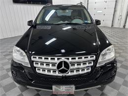 2011 Mercedes-Benz M-Class (CC-2053535) for sale in North East, Pennsylvania