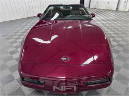 1993 Chevrolet Corvette (CC-2054189) for sale in North East, Pennsylvania