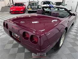 1993 Chevrolet Corvette (CC-2054189) for sale in North East, Pennsylvania