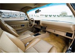 1981 Chevrolet Camaro (CC-2054225) for sale in Carrollton, Texas