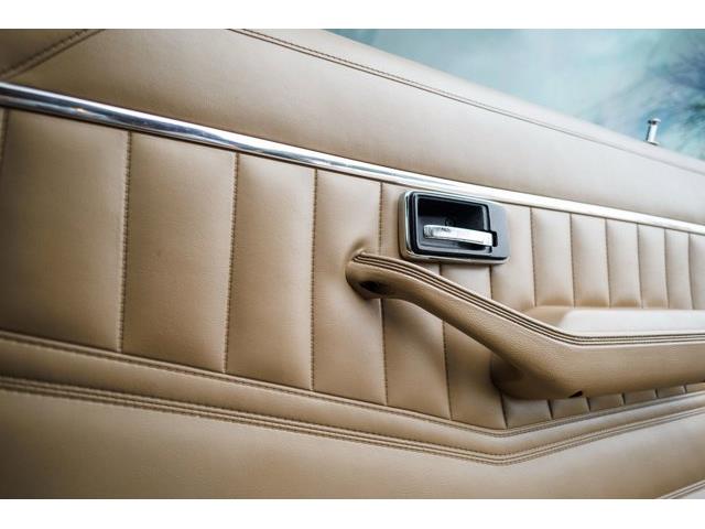 1981 Chevrolet Camaro (CC-2054225) for sale in Carrollton, Texas