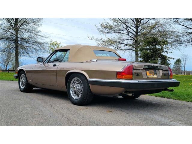1988 Jaguar XJ (CC-2054242) for sale in Hilton, New York